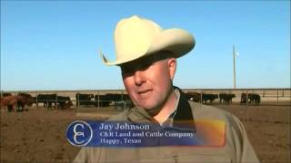 C&R Land and Cattle Company (C2C)