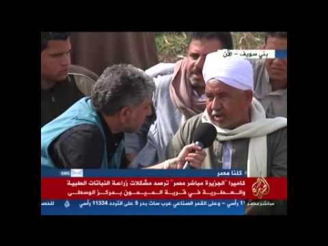 تابع مشكلات زراعة النباتات الطبية بني سويف
