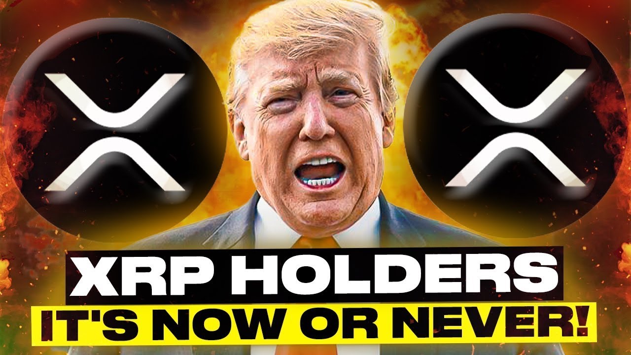xrp-holders-if-you-miss-this-trump-announcement-you-will-not-be-rich