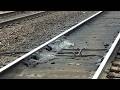 When Railroad Track Grease Monkeys Go Wrong.. Trains STOP! thumbnail
