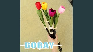 Tur man bor i Sverige - Boray