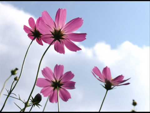 COSMOS～独り合唱