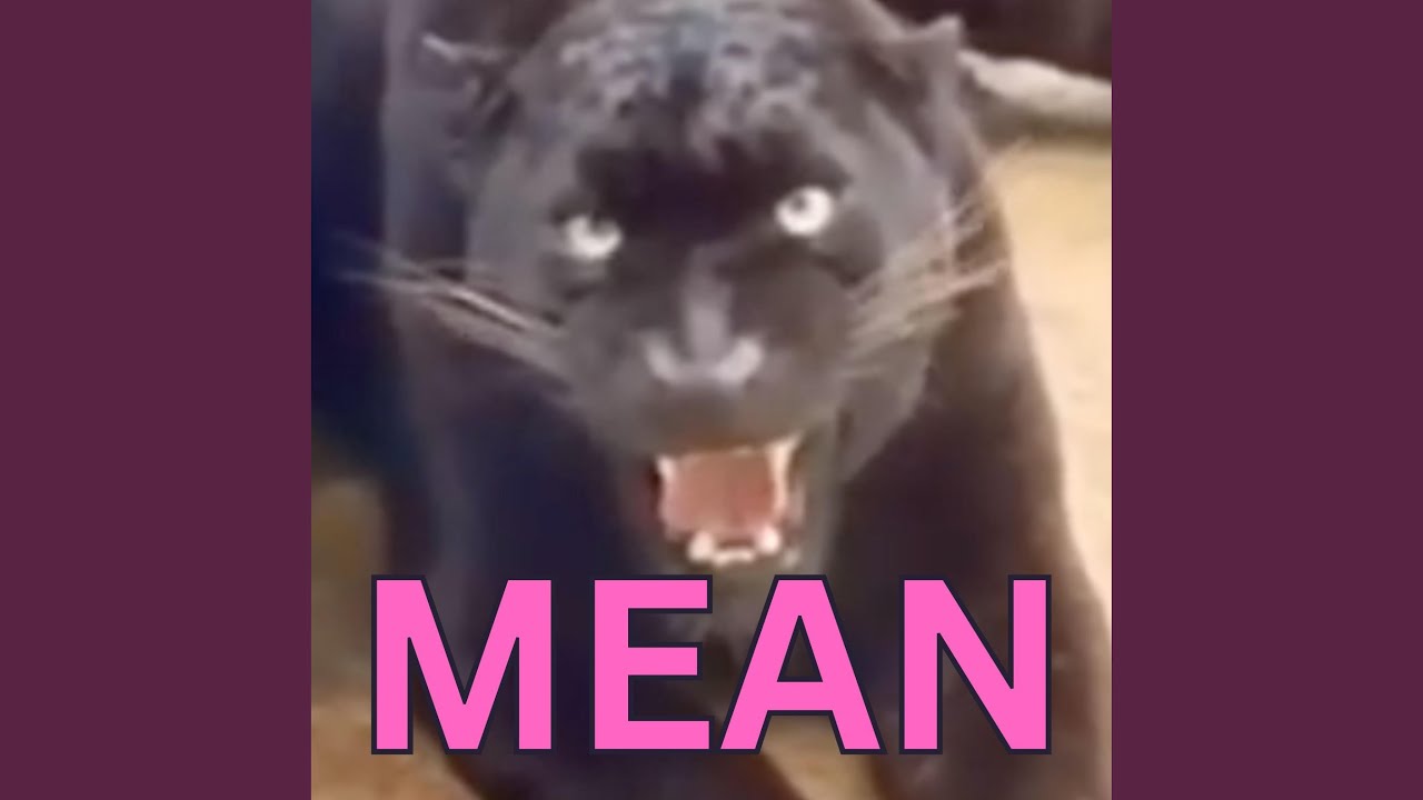 Guarda mean su YouTube Guarda mean su YouTube
