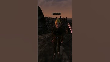 Killing the adoring fan in Morrowind every day until Skywind and Skyblivion are released Day - 630