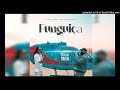 Ney Chiqui feat Paulelson - Funguiça (Áudio Offial)