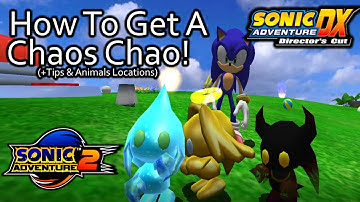 How To Get A Chaos Chao in Sonic Adventure 2 and DX! (Tips, Animal Locations & More)