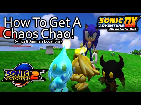 Sonic Adventure 2 및 DX에서 카오스 혼돈을 얻는 방법! (팁, 동물 위치 등)