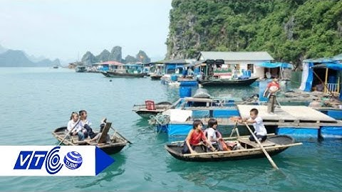 Một ngày ở làng chài Cái Bèo, Hải Phòng | VTC