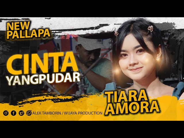 CINTA YANG PUDAR TIARA AMORA NEW PALLAPA LIVE EXPO NGANJUK 2023 class=