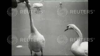 1929 FRANCE / WEATHER: Dramatic scenes in the cold weather in Paris