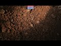 Voici la technique agricole pour produire beaucoup avec peu d'eau dans le Sahel