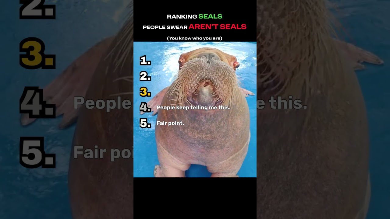 Ranking seals people swear aren't seals