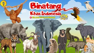 Belajar Mengenal Binatang Khas Indonesia || Nama  Hewan Endemik Indonesia - Belajar Setelah Bermain