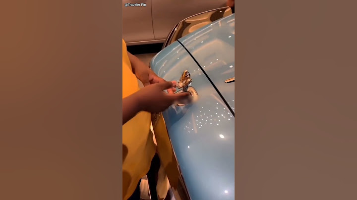 ye Tingu Rolls-Royce k logo k saath khel rha tha (🎥__Traveler Pin) interesting Video Funny 🤣🤣🤣🤣