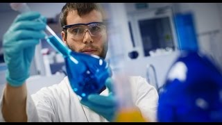 Searching for the foundation of youth in fats