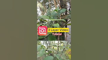 Inshot 3 layer video edit -Tutorial