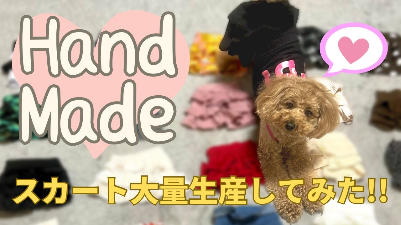 【トイプードル】誰でもできる🌟超簡単❣犬服作りに挑戦してみた