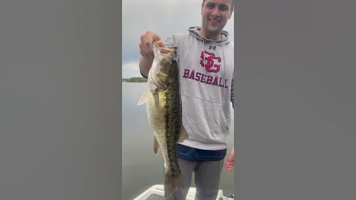 Spotted and Hybrid Bass Fishing on #LakeNorman #BassFishing #SpottedBass #Wiper #RangerBoats