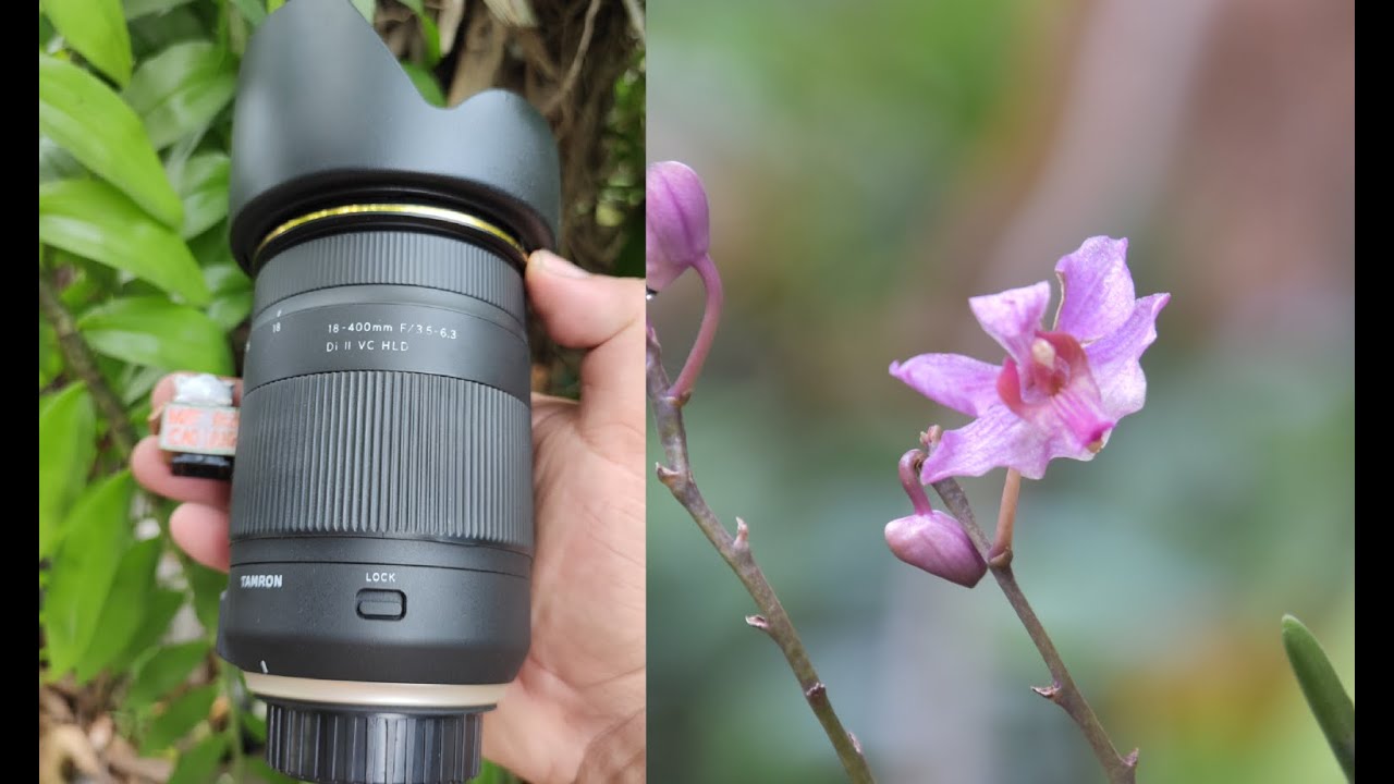 Review Tamron 18-400mm f/3.5-6.3 Di II VC - YouTube