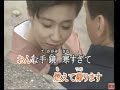 手鏡 (cover)