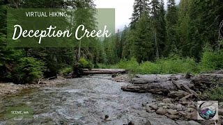 Virtual Hike to Deception Creek (With Nature Sounds) - Incredible Nature of Western Washington