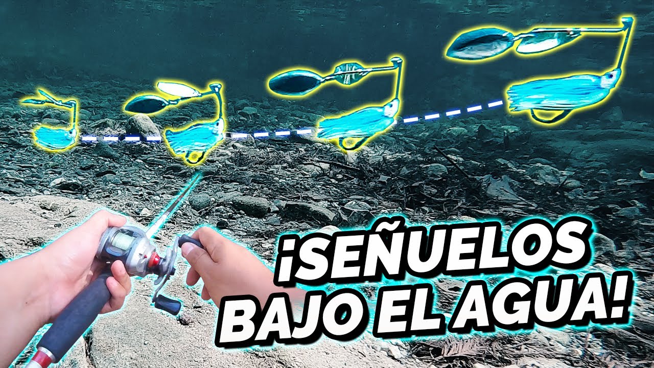 Cómo MOVER LOS SEÑUELOS para LOBINA Parte 2 | TOMAS BAJO EL AGUA!!