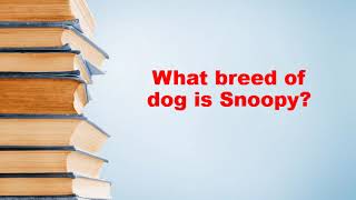 What breed of dog is Snoopy?