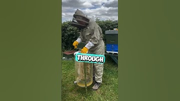 This Machine Produces Honey 😳 #shorts