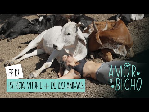 Vídeo: Melhor Santuário Animal de Amigos