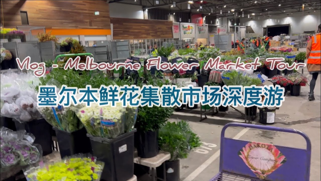 Vlog： Shopping Tour Melbourne Flower Market rne 墨尔本鲜花集散市场深度游 YouTube
