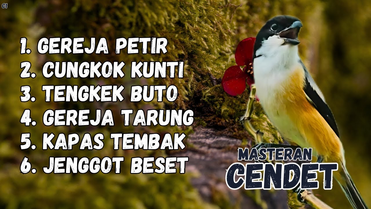 MASTERAN CEDET TERBAIK SEPANJANG MASA