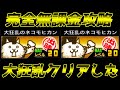 【にゃんこ大戦争攻略】大狂乱のネコモヒカン無課金攻略！初心者でも絶対に攻略できる方法を試してみた結果恐ろしいことになりました【無課金レアガチャ禁止縛り】＃