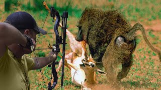 Hunting monkeys, pigs and grizzly bears with arrows 🏹😱👌👍 Part 2