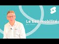 Le bail mobilit 