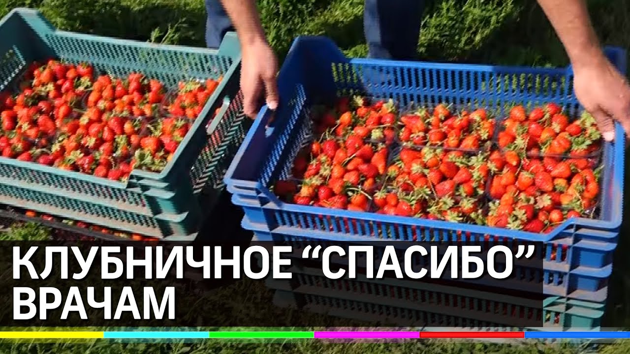 Веста спасибо врачам