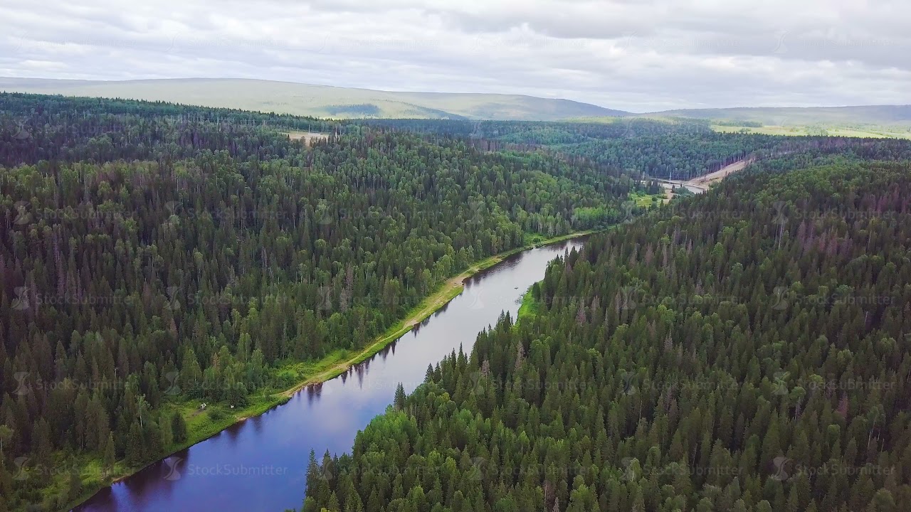 Aerial view the river on green forest plain. Clip. Aerial view of forest the river during summer day