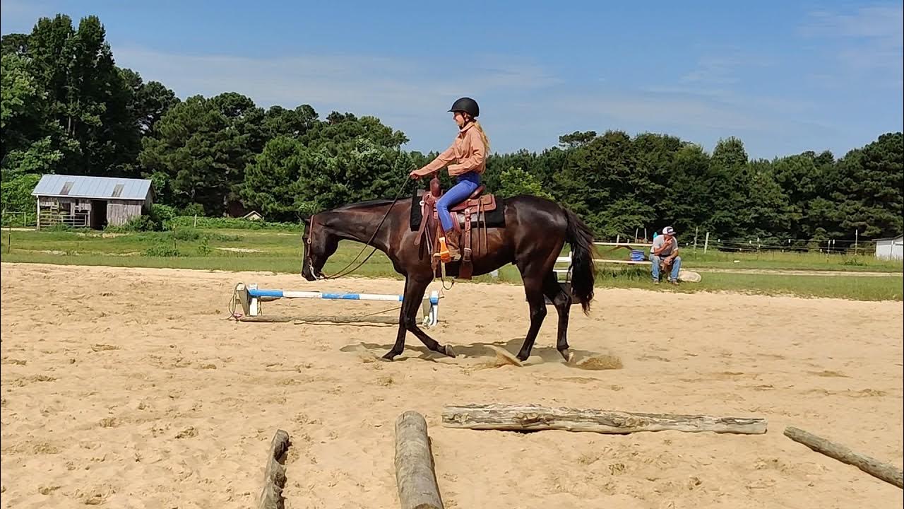 Carlie ( show 4) novice youth ranch riding rail YouTube