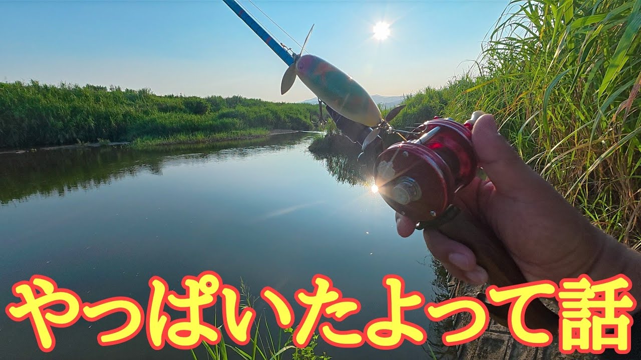 やっぱいたよって話 【River fishing in Japan】 2026年7月28日公開