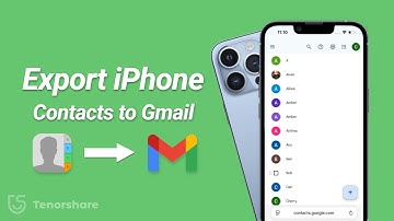 How to Export iPhone Contacts to Gmail (iOS 15/16/17/18 Compatible) - Full  Guide