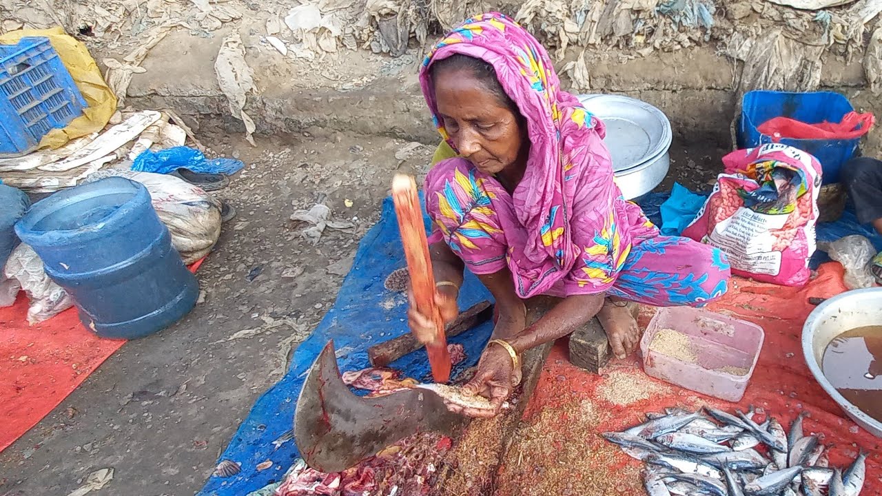 Fish master cutting is live