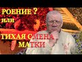 Май. Весенние работы на пасеке. Развитие пчелиной семьи. Тихая смена матки.