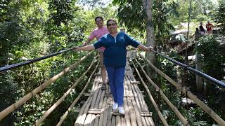 Hanging Bamboo Bridge Hanging Bamboo Bridge