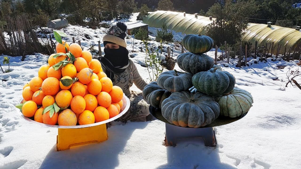 شمال الجزائر. صنع مربى اليقطين.مع خبز اليقطين في اجواء ممطرة جدا