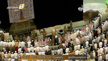 مغربيّة كردية فذة من الشيخ د. ماهر المعيقلي لما تيسّر من سورة النجم || ليوم الإثنين ٩-٥-١٤٣٨هـ