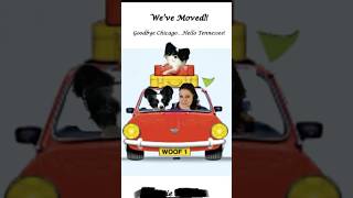 Celebrity She Left All Behind and Moved to Tennessee, ALONE! at 48 Was it Worth it? #shorts #shortsfeed #viral Net Worth