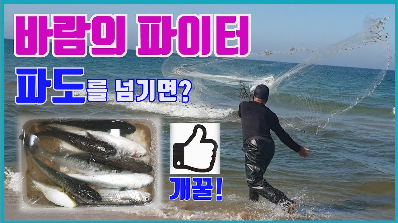 바람의 파이터_파도를 넘겨 바다투망을 던졌더니...개꿀!/캠핑/차박/낚시/투망던지는법/숭어/cast net fishing/pesca/throw castnet - YouTube