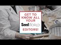 Get to know all four of your seed world editors