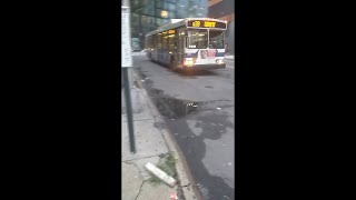 Queens, New York - Q39 Bus Route - Hybrid Electric Bus - Orion VII HEV