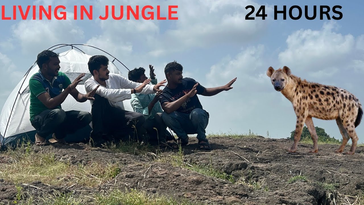 Surviving 24 hours in a jungle - Will I survive ? - YouTube