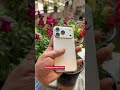 📱iPhone 17 Pro Open Box Available!🔥📍SK Mobile,#viral #shorts #trending #reels #video #shortvideo